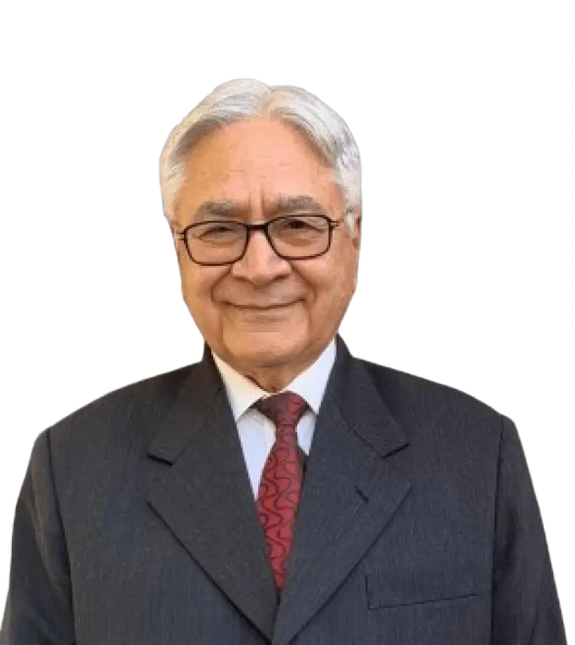Mr. Raman Anand